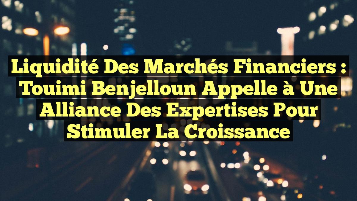 Liquidité des Marchés Financiers : Touimi Benjelloun appelle à une Alliance des Expertises pour Stimuler la Croissance