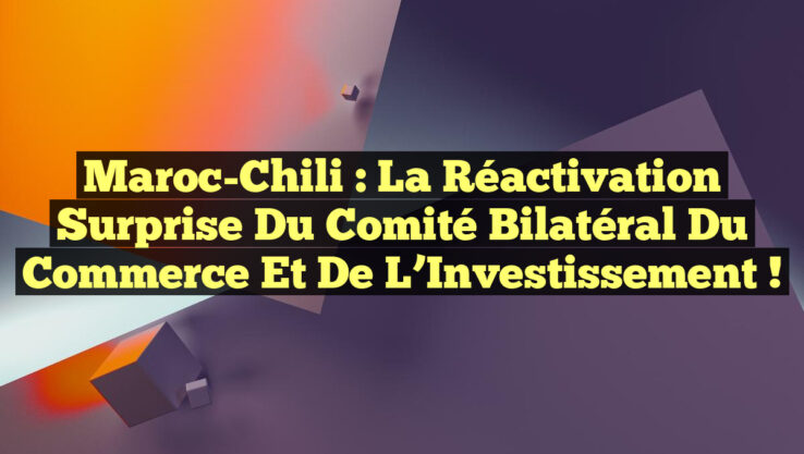 Maroc-Chili : La Réactivation Surprise du Comité Bilatéral du Commerce et de l’Investissement !