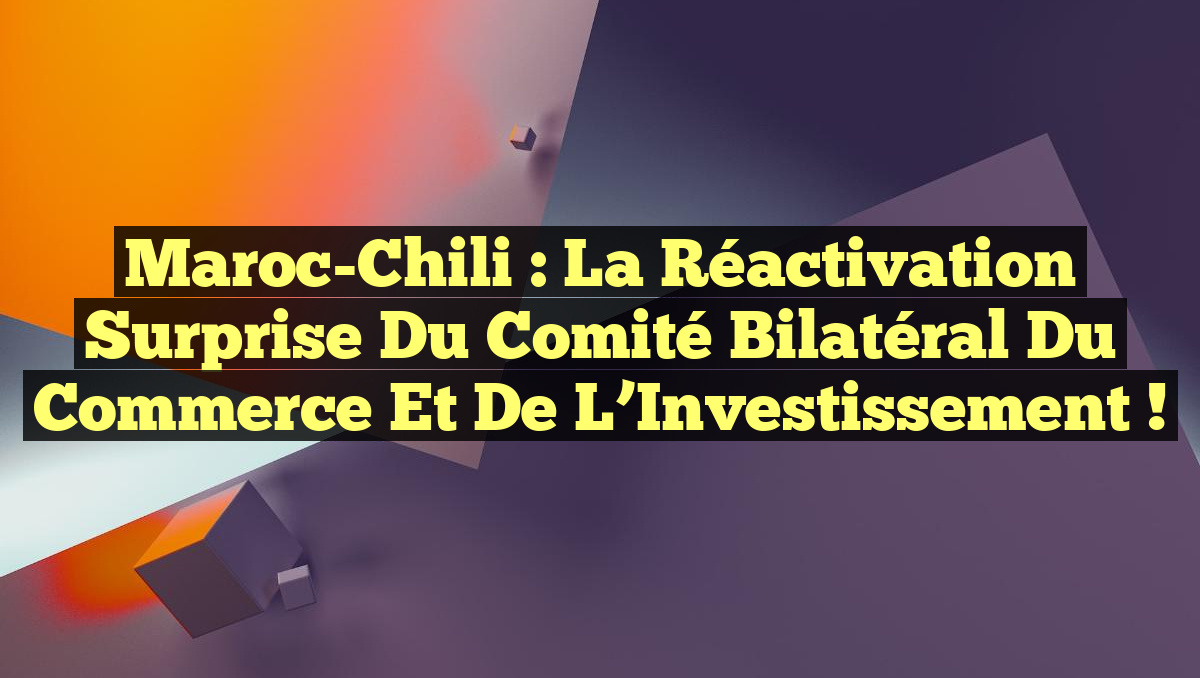 Maroc-Chili : La Réactivation Surprise du Comité Bilatéral du Commerce et de l’Investissement !