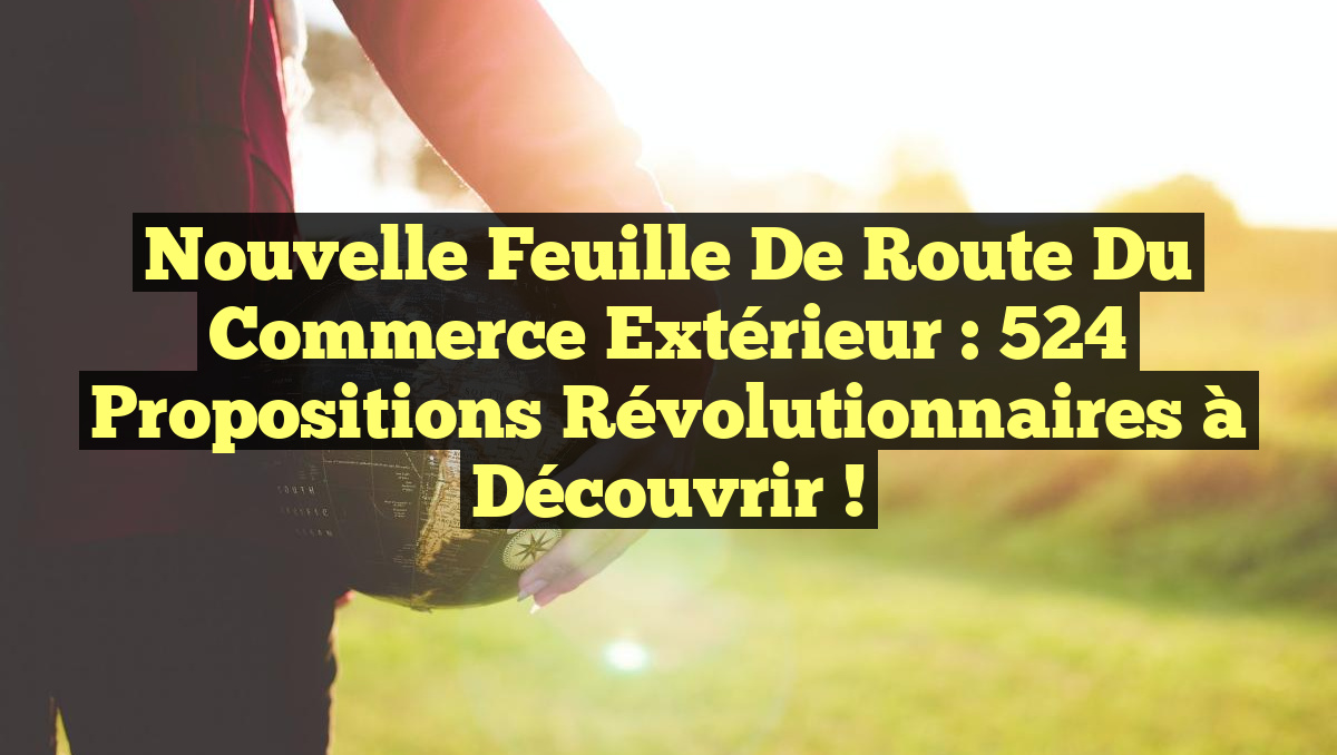 Nouvelle feuille de route du commerce extérieur : 524 propositions révolutionnaires à découvrir !