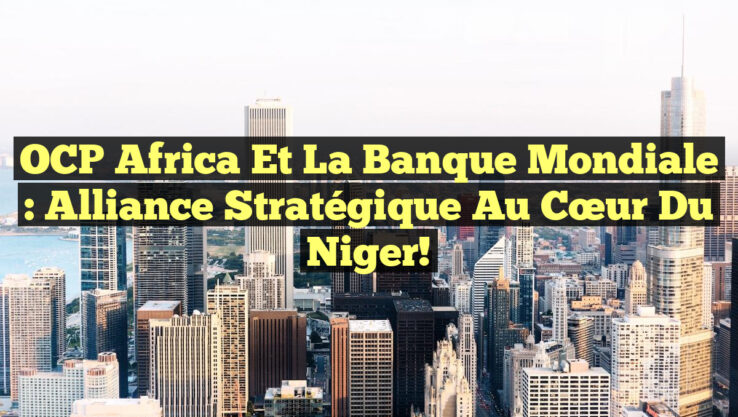 OCP Africa et la Banque Mondiale : Alliance stratégique au cœur du Niger! OCP Africa et la Banque Mondiale : Alliance stratégique au cœur du Niger!