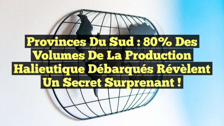 Provinces du Sud : 80% des volumes de la production halieutique débarqués révèlent un secret surprenant !