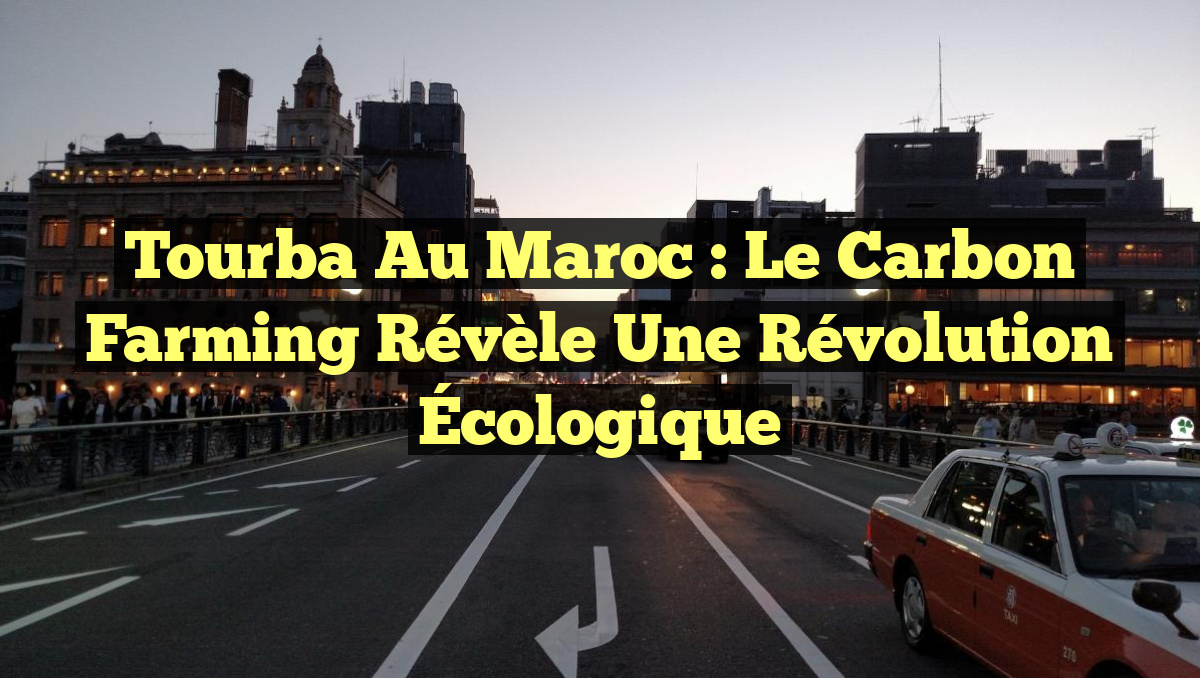 Tourba au Maroc : Le Carbon Farming Révèle une Révolution Écologique