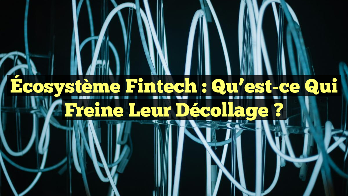 Écosystème Fintech : Qu&rsquo;est-ce qui freine leur décollage ?