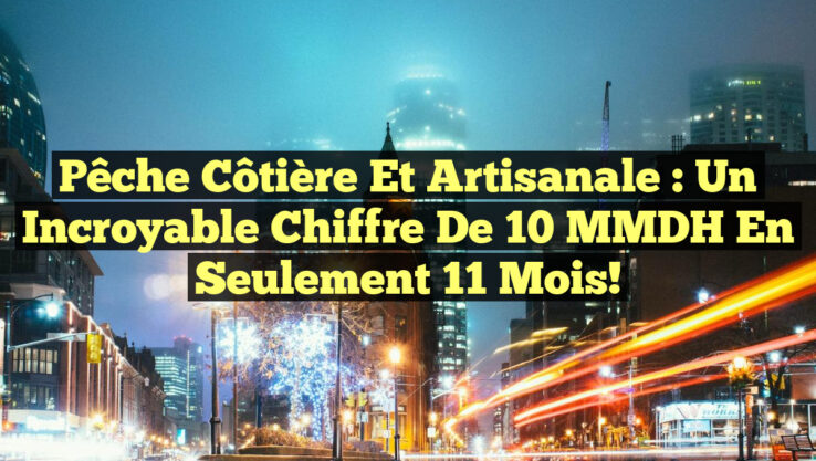 Pêche côtière et artisanale : Un incroyable chiffre de 10 MMDH en seulement 11 mois!
