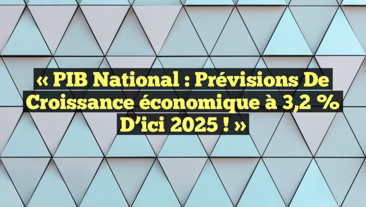 « PIB national : Prévisions de croissance économique à 3,2 % d’ici 2025 ! »