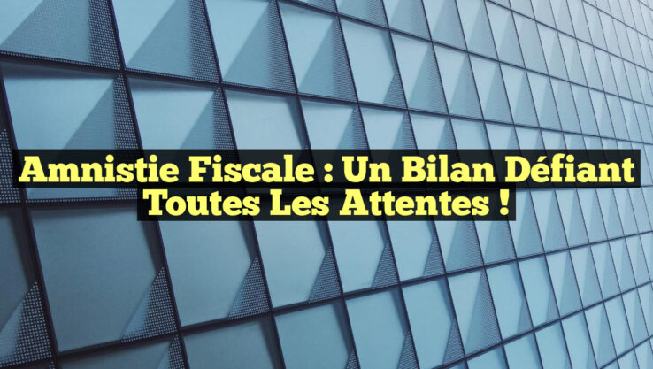 Amnistie Fiscale : Un Bilan Défiant Toutes les Attentes !