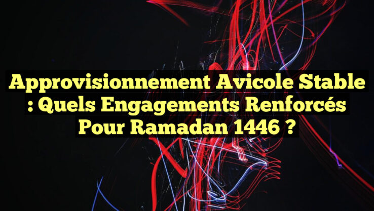Approvisionnement Avicole Stable : Quels Engagements Renforcés pour Ramadan 1446 ?