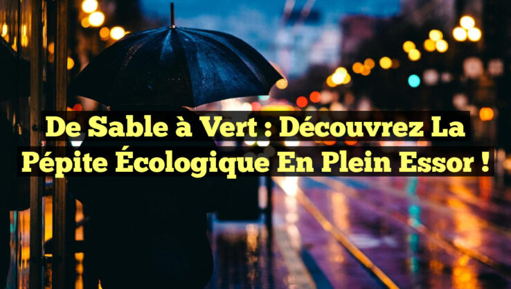 De Sable à Vert : Découvrez la Pépite Écologique en Plein Essor ! De Sable à Vert : Découvrez la Pépite Écologique en Plein Essor !