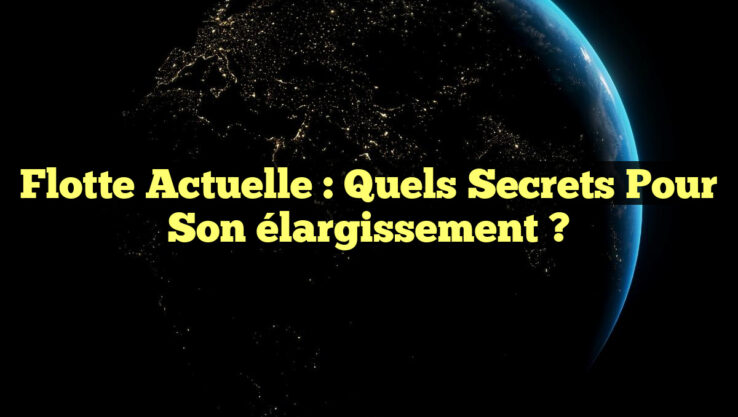 Flotte actuelle : Quels secrets pour son élargissement ?