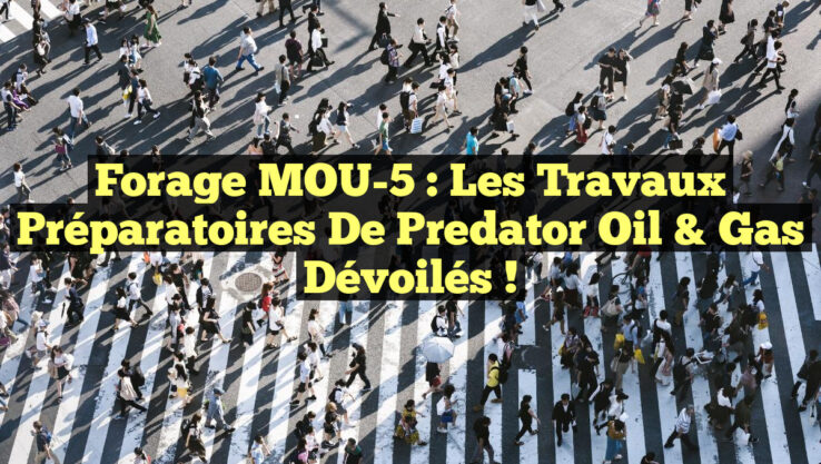 Forage MOU-5 : Les Travaux Préparatoires de Predator Oil & Gas Dévoilés !
