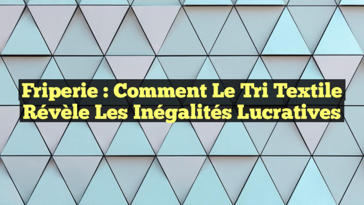 Friperie : Comment le tri textile révèle les inégalités lucratives Friperie : Comment le tri textile révèle les inégalités lucratives