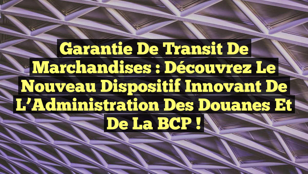 Garantie de Transit de Marchandises : Découvrez le Nouveau Dispositif Innovant de l&rsquo;Administration des Douanes et de la BCP !