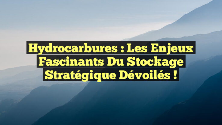Hydrocarbures : Les enjeux fascinants du stockage stratégique dévoilés !
