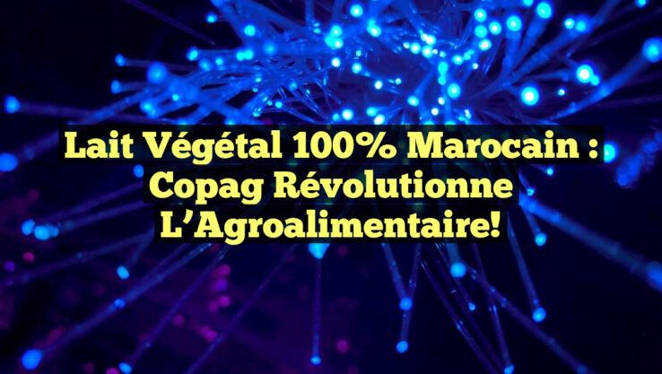 Lait Végétal 100% Marocain : Copag Révolutionne l’Agroalimentaire!