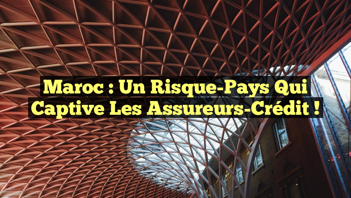 Maroc : un Risque-Pays qui captive les Assureurs-Crédit !
