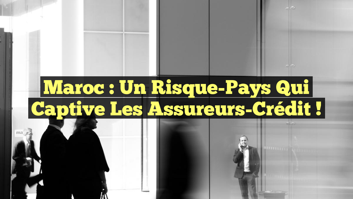 Maroc : un Risque-Pays qui captive les Assureurs-Crédit !