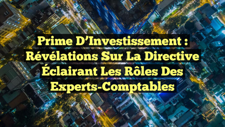 Prime d’Investissement : Révélations sur la Directive Éclairant les Rôles des Experts-Comptables