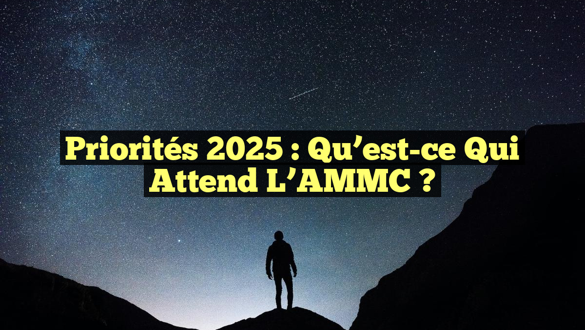 Priorités 2025 : Qu&rsquo;est-ce qui attend l&rsquo;AMMC ?