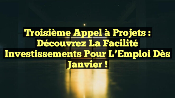 Troisième Appel à Projets : Découvrez la Facilité Investissements pour l’Emploi dès Janvier !