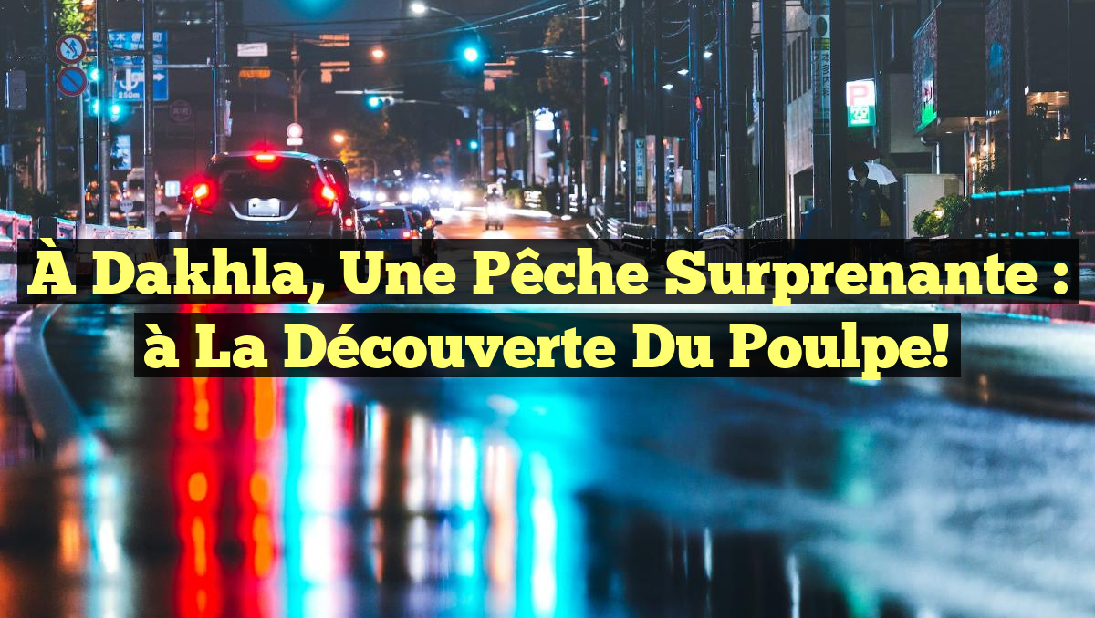 À Dakhla, une pêche surprenante : à la découverte du poulpe!