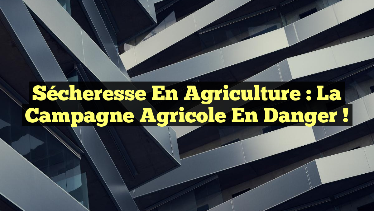 Sécheresse en Agriculture : La Campagne Agricole en Danger !