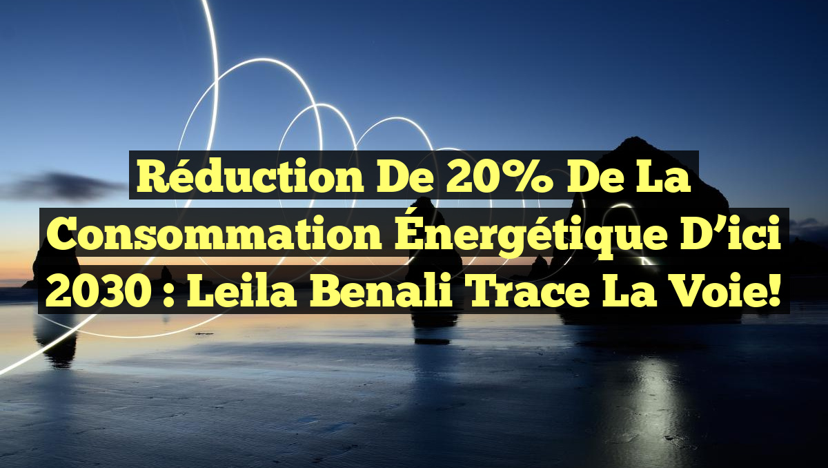 Réduction de 20% de la Consommation Énergétique d&rsquo;ici 2030 : Leila Benali Trace la Voie!