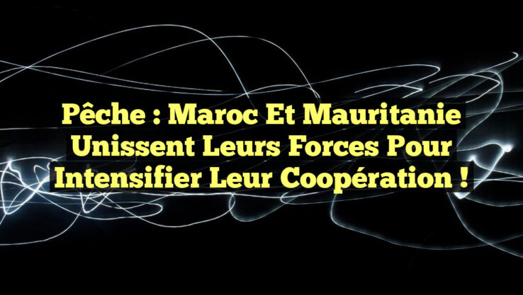 Pêche : Maroc et Mauritanie unissent leurs forces pour intensifier leur coopération !