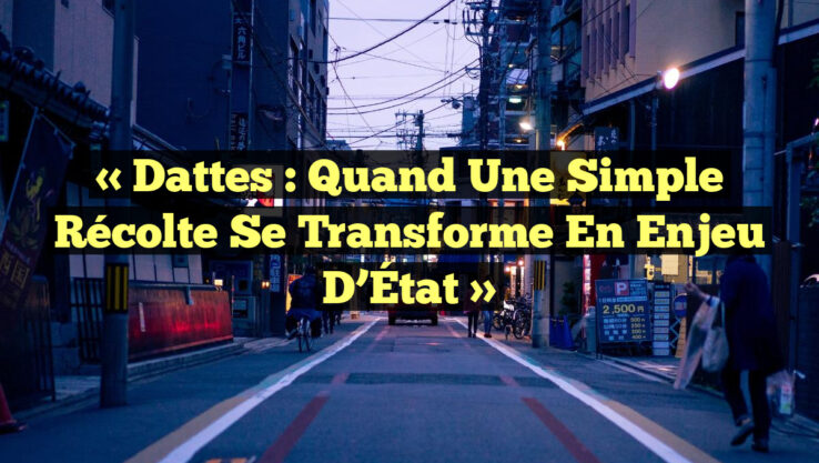 « Dattes : Quand une simple récolte se transforme en enjeu d’État »