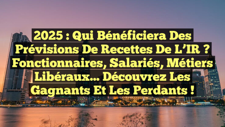 2025 : Qui bénéficiera des prévisions de recettes de l’IR ? Fonctionnaires, salariés, métiers libéraux… Découvrez les gagnants et les perdants !