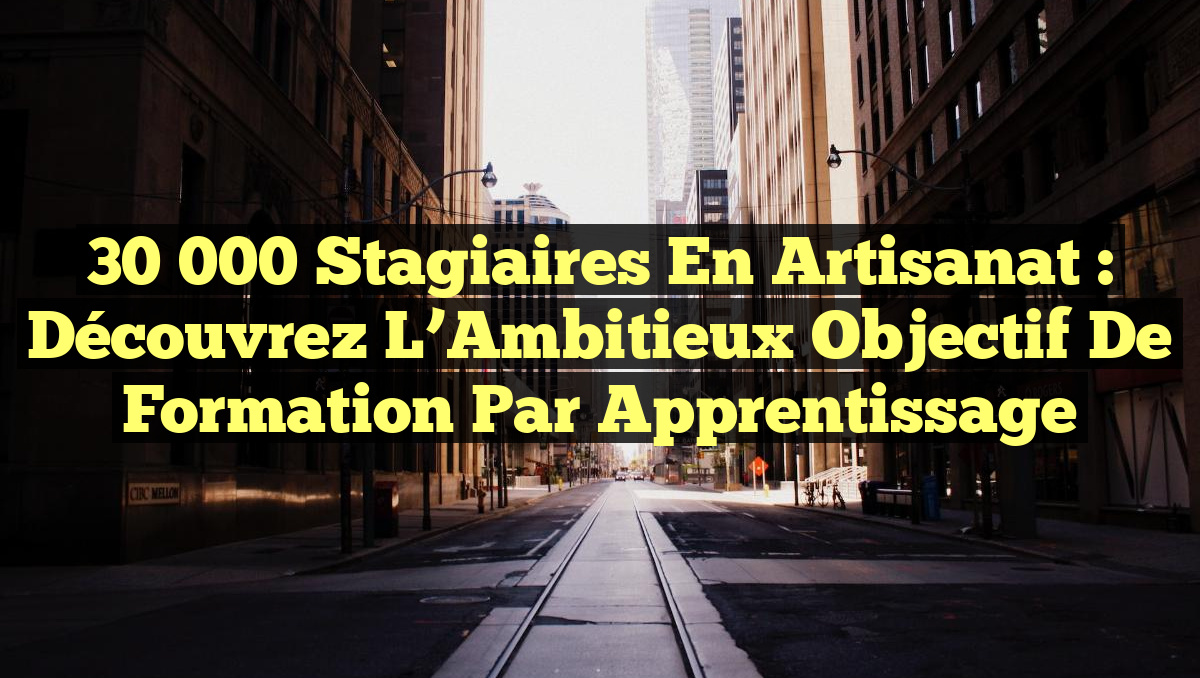 30 000 Stagiaires en Artisanat : Découvrez l&rsquo;Ambitieux Objectif de Formation par Apprentissage