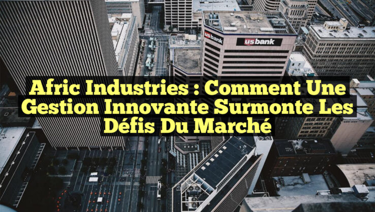 Afric Industries : Comment une Gestion Innovante surmonte les Défis du Marché