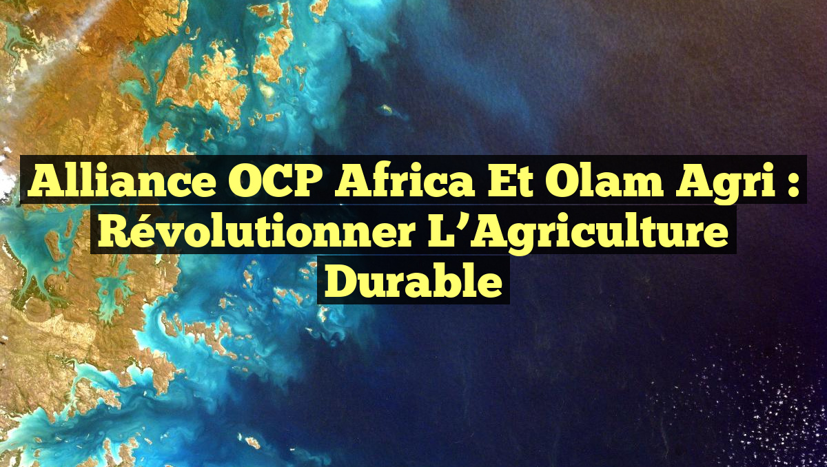 Alliance OCP Africa et Olam Agri : Révolutionner l&rsquo;Agriculture Durable