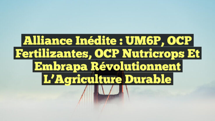Alliance Inédite : UM6P, OCP Fertilizantes, OCP Nutricrops et Embrapa Révolutionnent l’Agriculture Durable