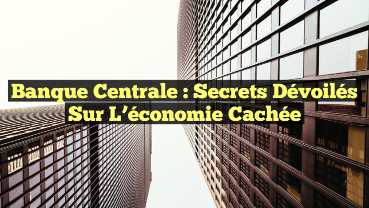 Banque centrale : Secrets dévoilés sur l’économie cachée
