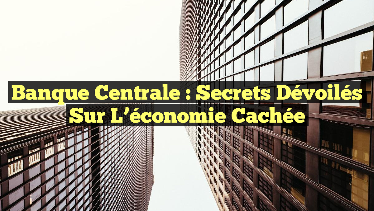 Banque centrale : Secrets dévoilés sur l&rsquo;économie cachée