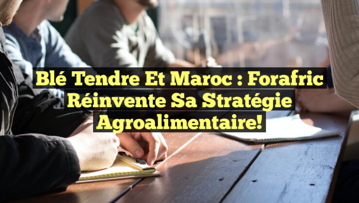 Blé Tendre et Maroc : Forafric Réinvente Sa Stratégie Agroalimentaire!