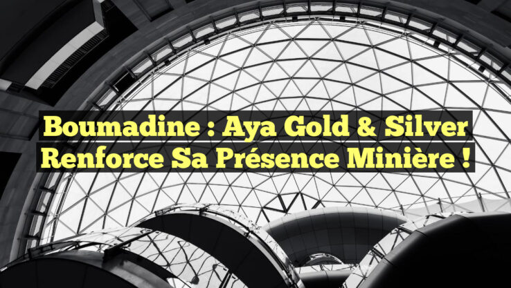 Boumadine : Aya Gold & Silver renforce sa présence minière !