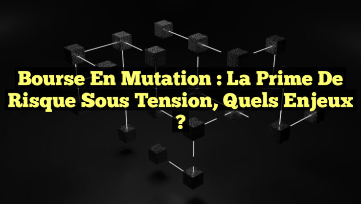 Bourse en Mutation : La Prime de Risque Sous Tension, Quels Enjeux ?