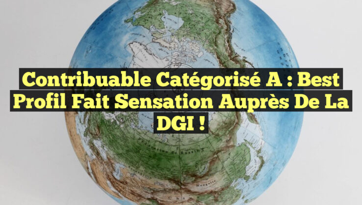 Contribuable Catégorisé A : Best Profil Fait Sensation auprès de la DGI !