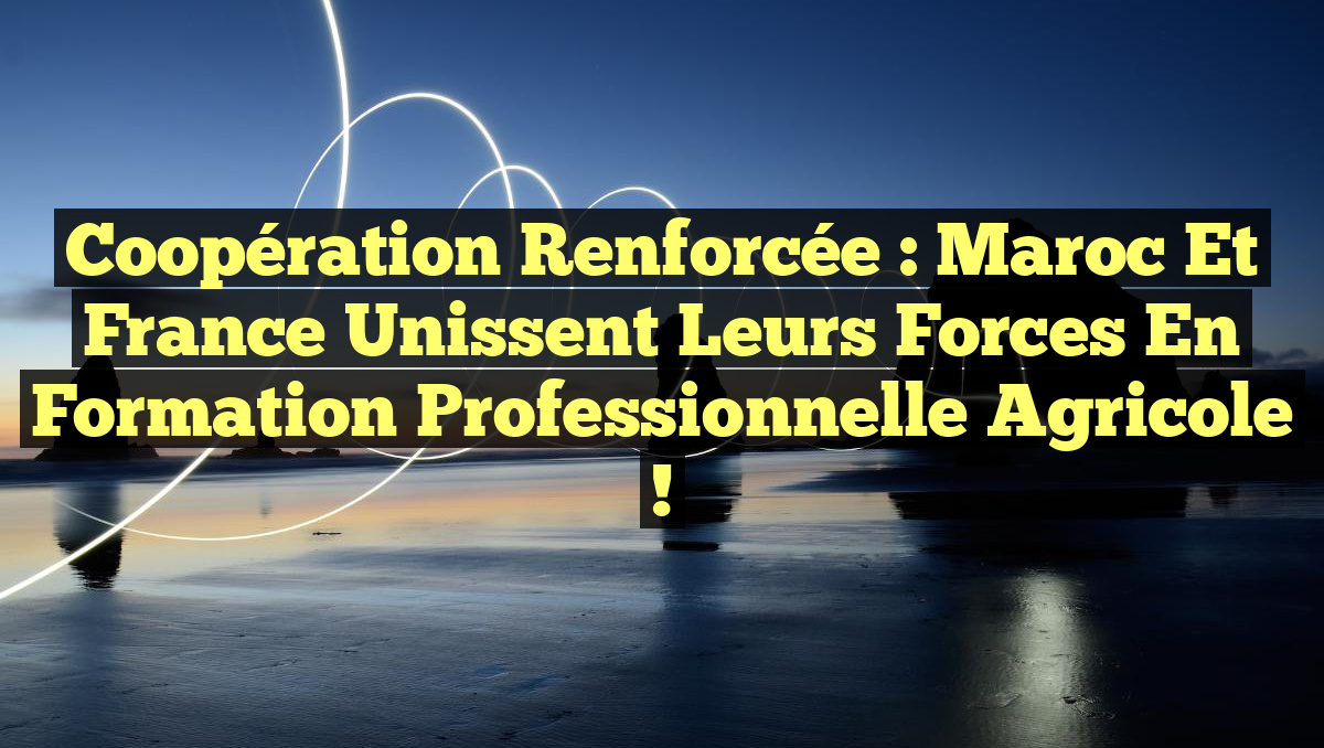 Coopération Renforcée : Maroc et France Unissent leurs Forces en Formation Professionnelle Agricole !