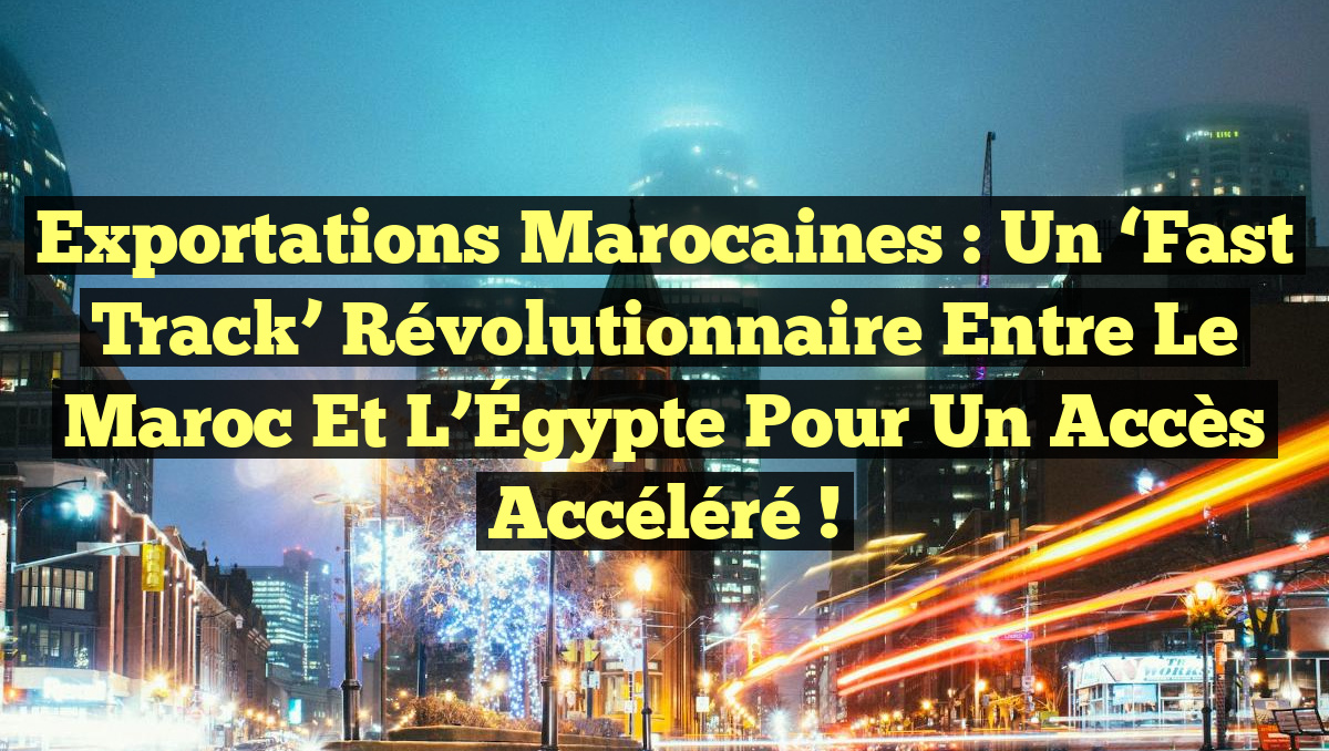 Exportations marocaines : un &lsquo;Fast Track&rsquo; révolutionnaire entre le Maroc et l&rsquo;Égypte pour un accès accéléré !