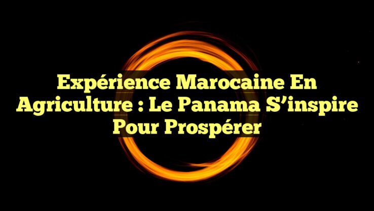 Expérience marocaine en agriculture : Le Panama s’inspire pour prospérer