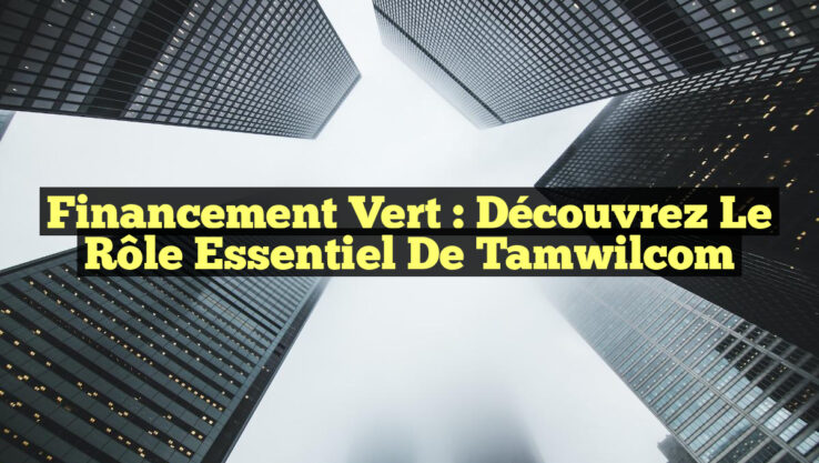 Financement Vert : Découvrez le Rôle Essentiel de Tamwilcom