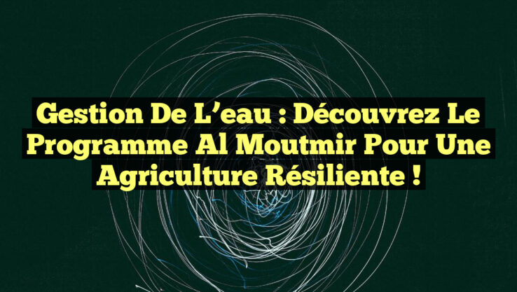 Gestion de l’eau : Découvrez le programme Al Moutmir pour une agriculture résiliente !