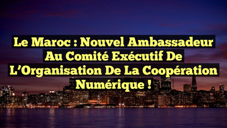 Le Maroc : Nouvel Ambassadeur au Comité Exécutif de l’Organisation de la Coopération Numérique !