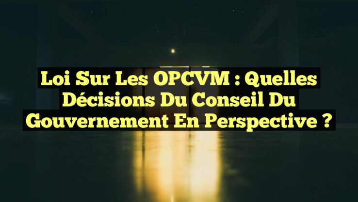 Loi sur les OPCVM : Quelles décisions du Conseil du gouvernement en perspective ?