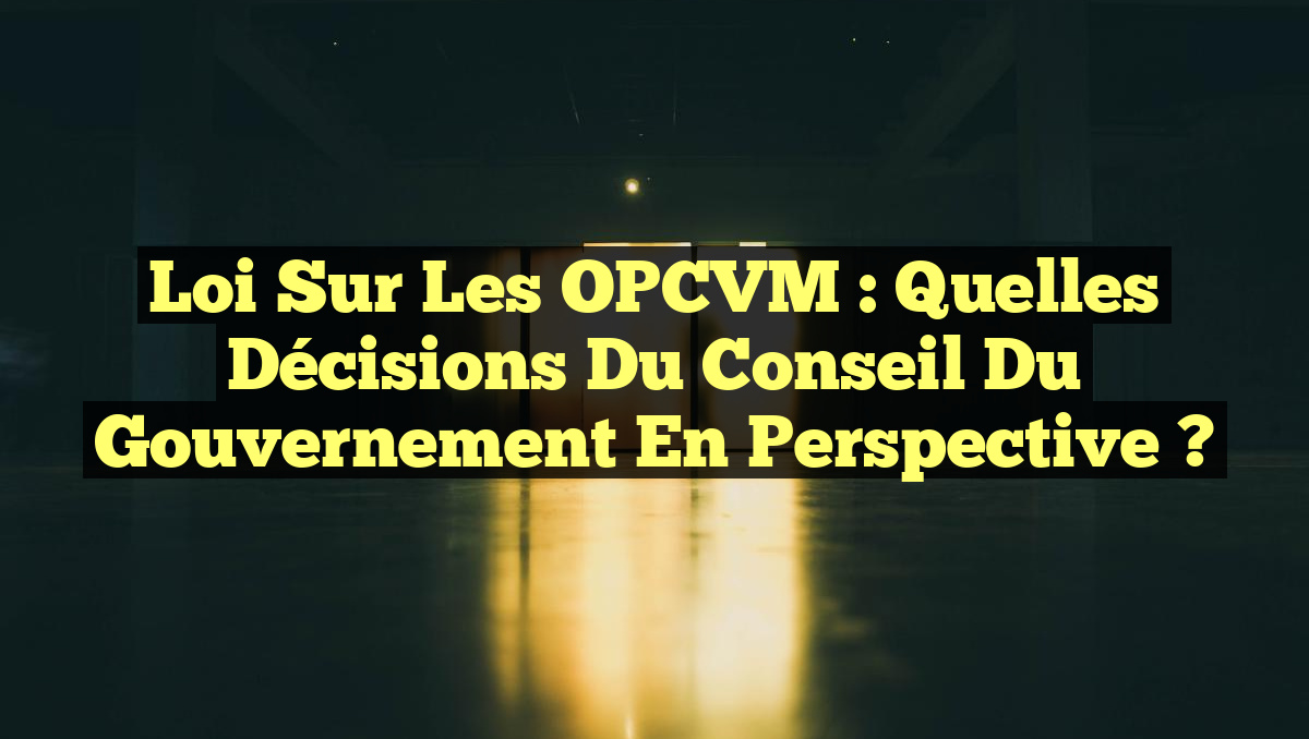 Loi sur les OPCVM : Quelles décisions du Conseil du gouvernement en perspective ?