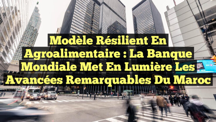 Modèle résilient en agroalimentaire : La Banque mondiale met en lumière les avancées remarquables du Maroc