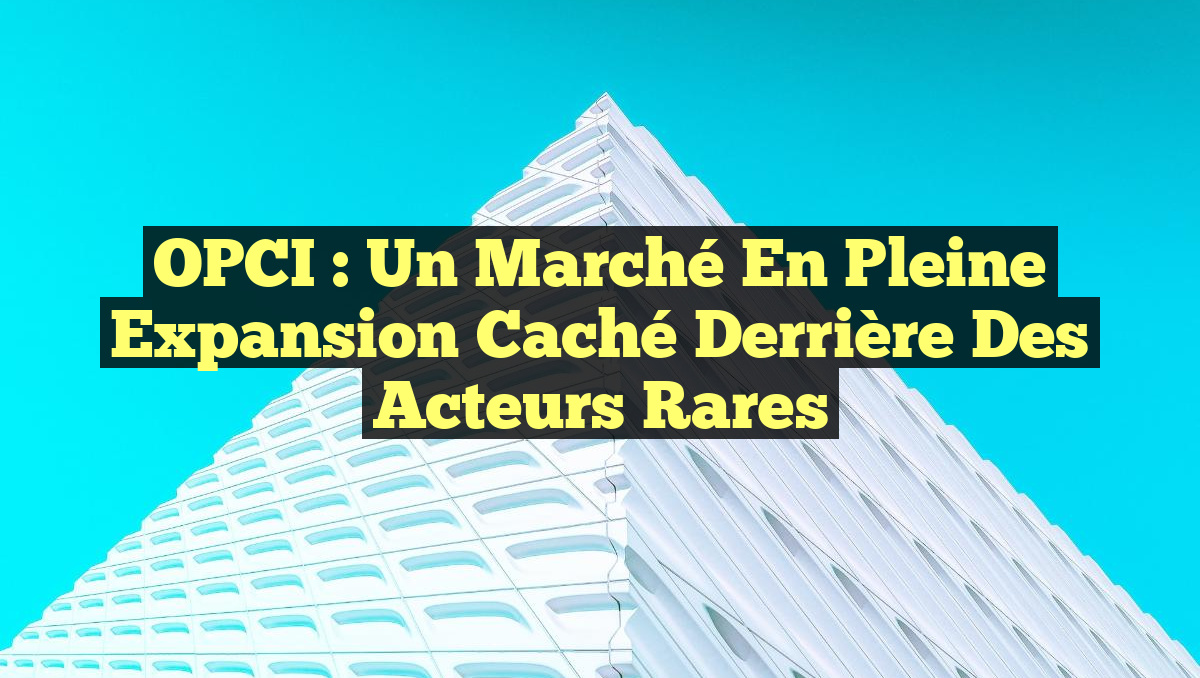 OPCI : Un Marché en Pleine Expansion Caché Derrière des Acteurs Rares